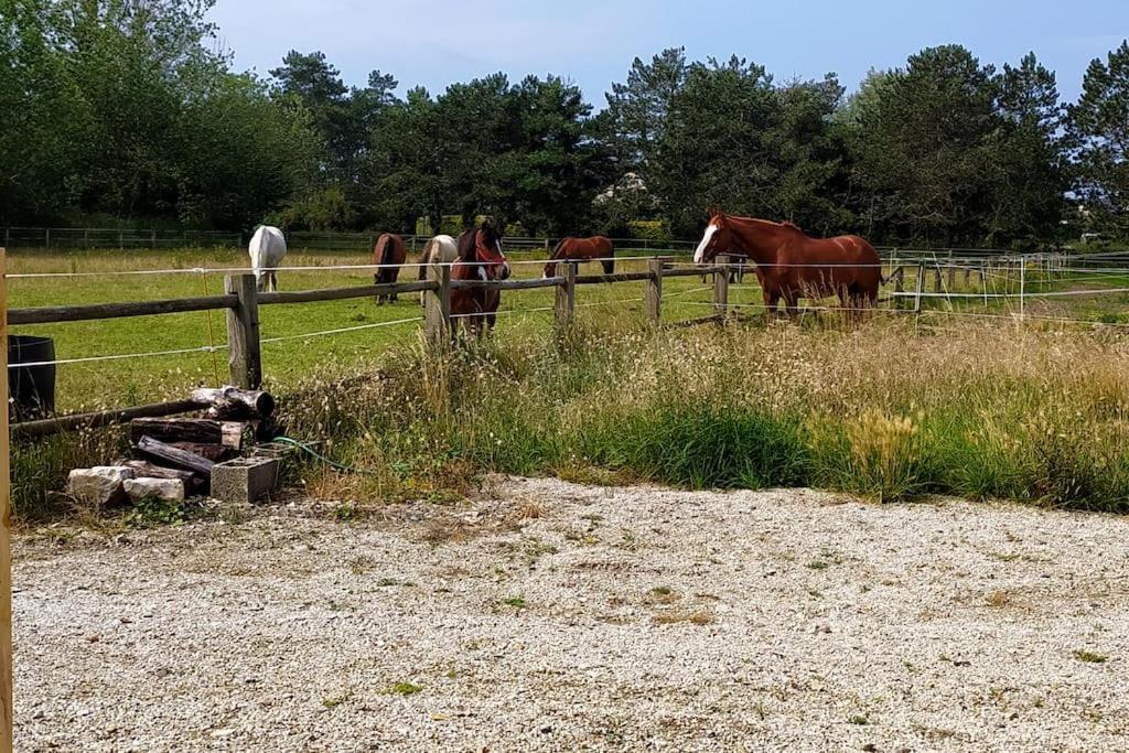 פורטביי Le Gite De La Ferme מראה חיצוני תמונה